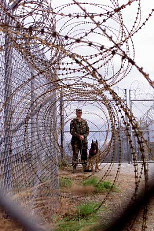 069-0101150210-fema-camp-soldier-dog-fence