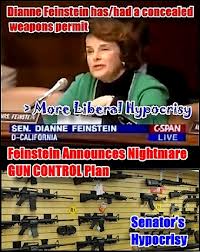 feinstein guns 2