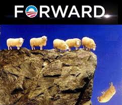 sheep forward