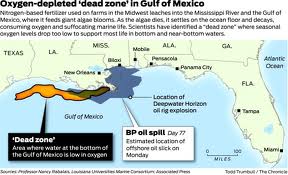 gulf dead zone