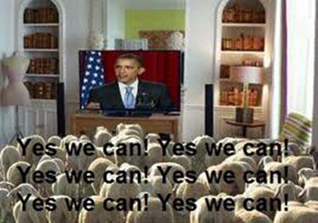  The national anthem of the sheep "Yes we can".