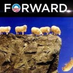sheep-forward