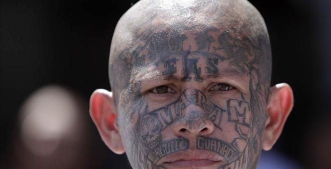 MS-13 fifth column gangsters are coming to your neighborhood armed with IED's, anti-tank weapons, automatic weapons and WMD's courtesy of last year's immigration crisis. 