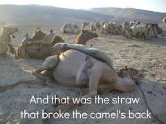 straw that broke the camels back