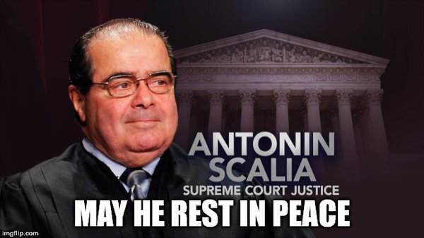 scalia rip