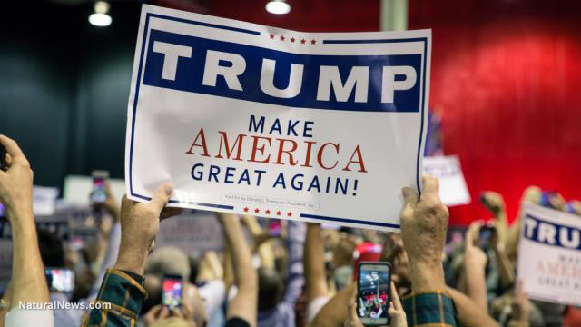 Editorial-Use-Donald-Trump-Campaign-Rally