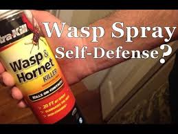 wasp spray